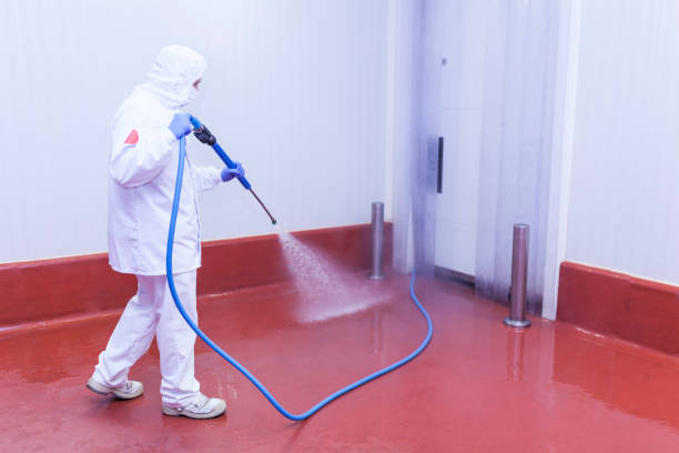 Best Sidewalk and Walkway Pressure Cleaning in Winchester, MO