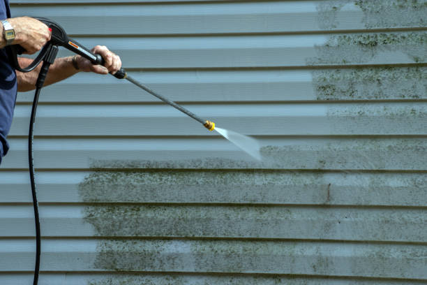 Best Driveway Cleaning and Restoration in Winchester, MO
